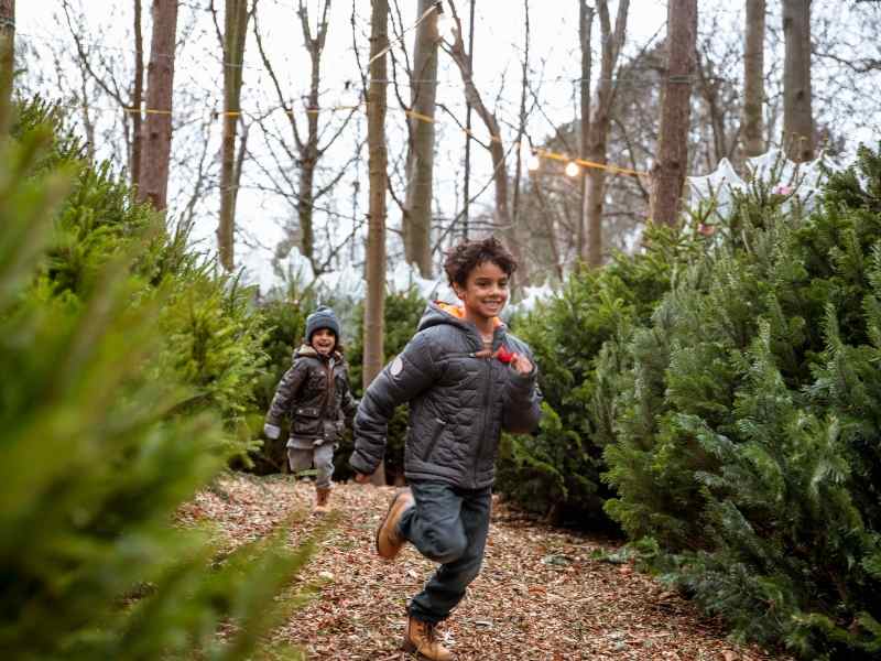 Un coaching intensif de 5 jours dans la famille pour des résultats rapides et concrets